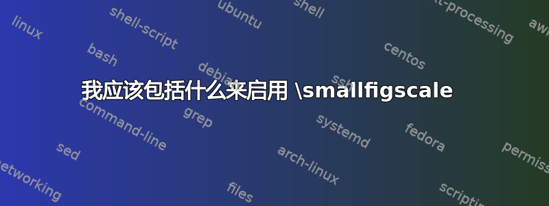 我应该包括什么来启用 \smallfigscale 