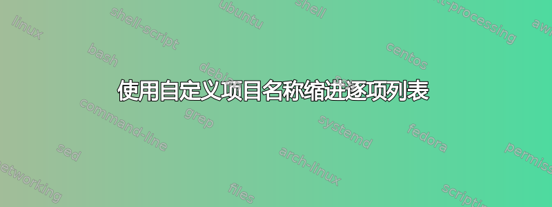 使用自定义项目名称缩进逐项列表