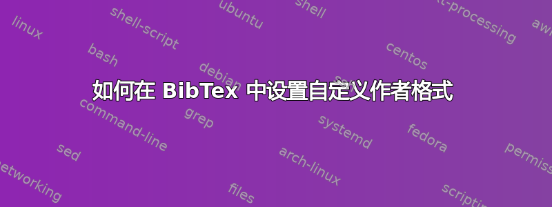 如何在 BibTex 中设置自定义作者格式