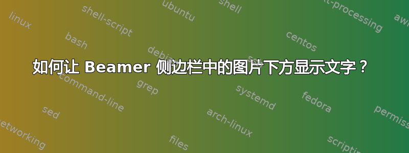 如何让 Beamer 侧边栏中的图片下方显示文字？