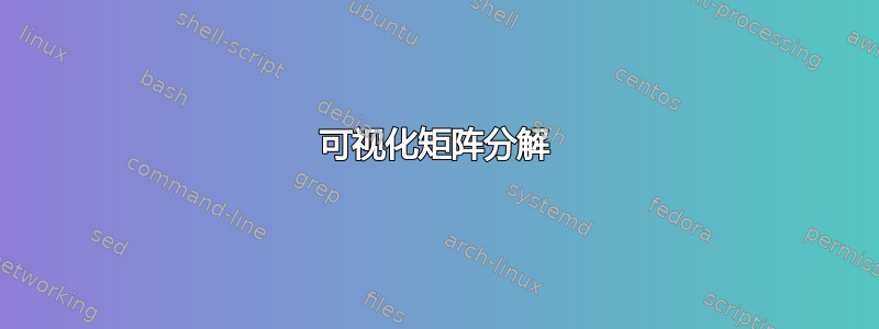 可视化矩阵分解