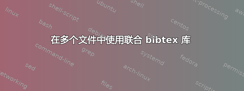 在多个文件中使用联合 bibtex 库