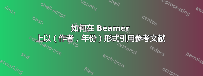 如何在 Beamer 上以（作者，年份）形式引用参考文献