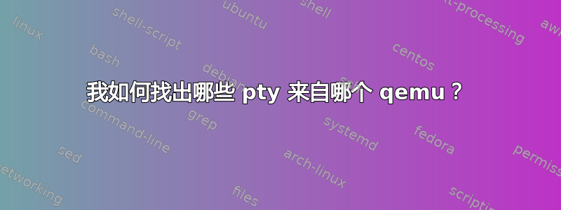 我如何找出哪些 pty 来自哪个 qemu？