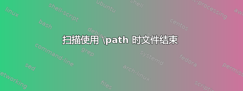 扫描使用 \path 时文件结束