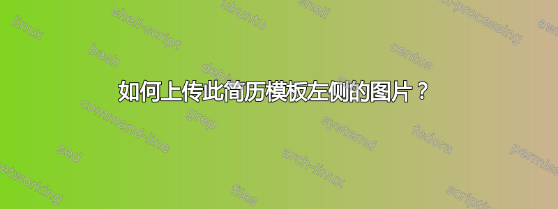 如何上传此简历模板左侧的图片？