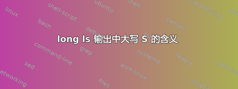 long ls 输出中大写 S 的含义