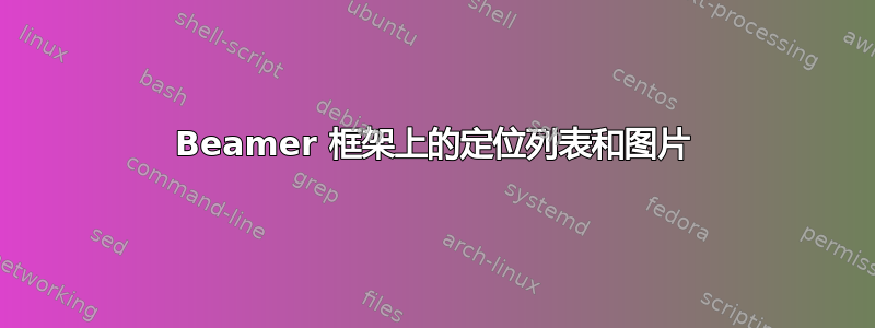 Beamer 框架上的定位列表和图片