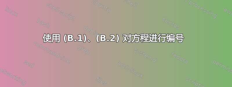 使用 (B.1)、(B.2) 对方程进行编号 