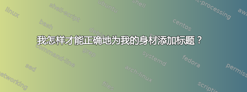 我怎样才能正确地为我的身材添加标题？ 