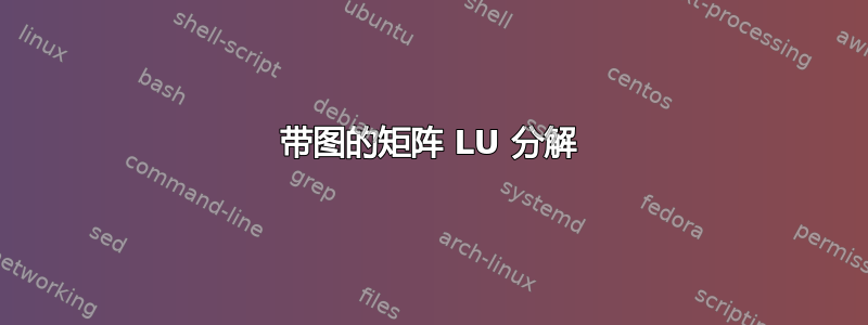 带图的矩阵 LU 分解