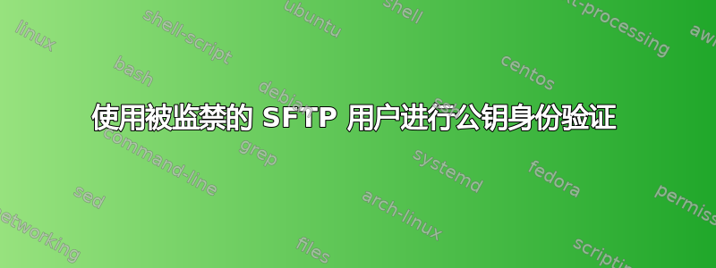 使用被监禁的 SFTP 用户进行公钥身份验证