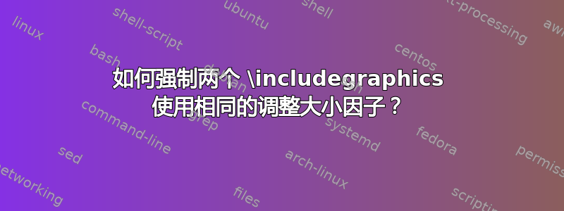 如何强制两个 \includegraphics 使用相同的调整大小因子？