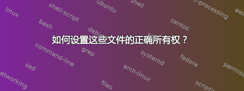 如何设置这些文件的正确所有权？