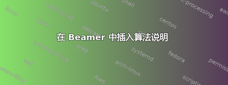 在 Beamer 中插入算法说明