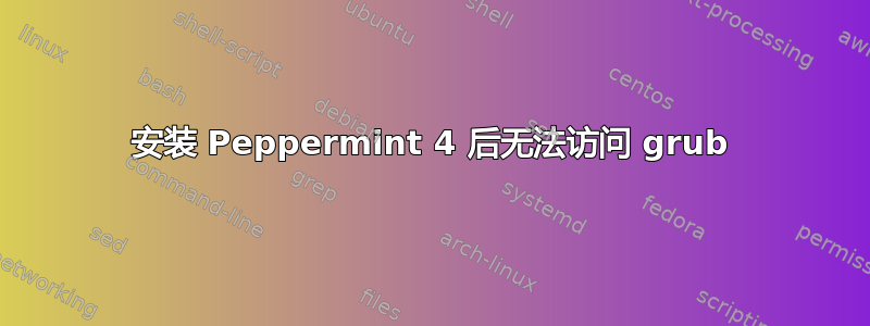 安装 Peppermint 4 后无法访问 grub