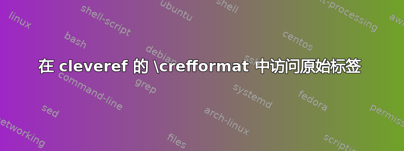 在 cleveref 的 \crefformat 中访问原始标签