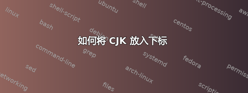 如何将 CJK 放入下标