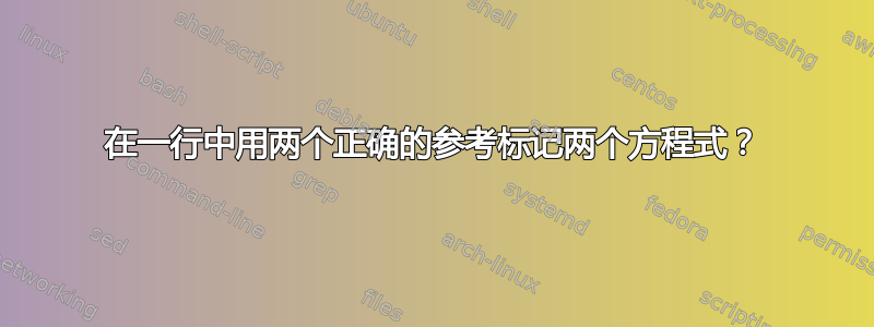 在一行中用两个正确的参考标记两个方程式？