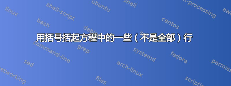 用括号括起方程中的一些（不是全部）行