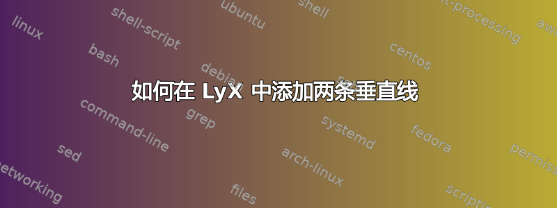 如何在 LyX 中添加两条垂直线