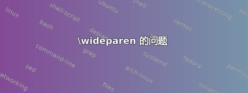 \wideparen 的问题