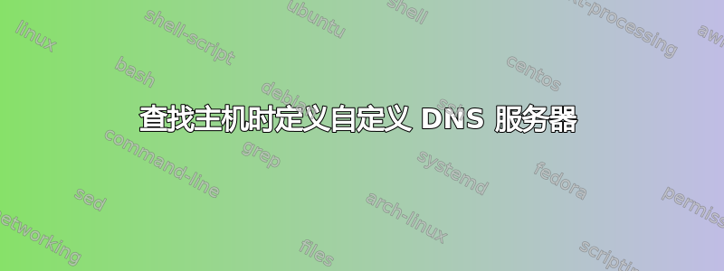 查找主机时定义自定义 DNS 服务器