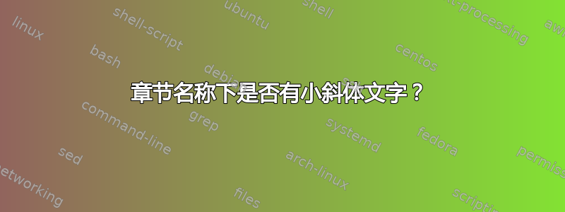 章节名称下是否有小斜体文字？