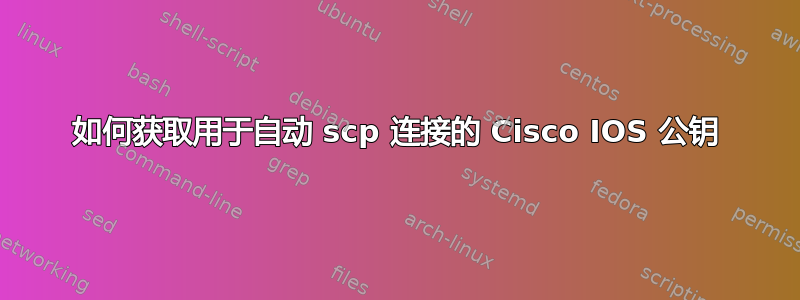 如何获取用于自动 scp 连接的 Cisco IOS 公钥