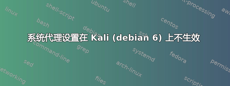 系统代理设置在 Kali (debian 6) 上不生效