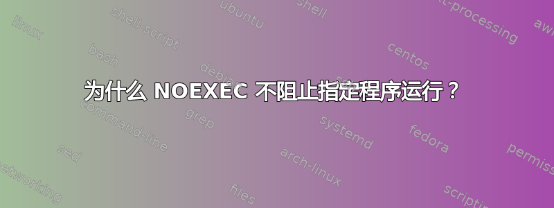 为什么 NOEXEC 不阻止指定程序运行？