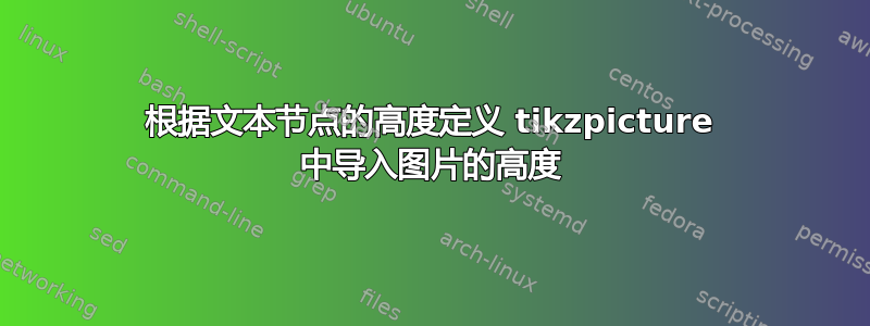 根据文本节点的高度定义 tikzpicture 中导入图片的高度