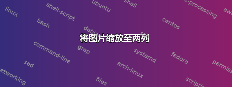 将图片缩放至两列