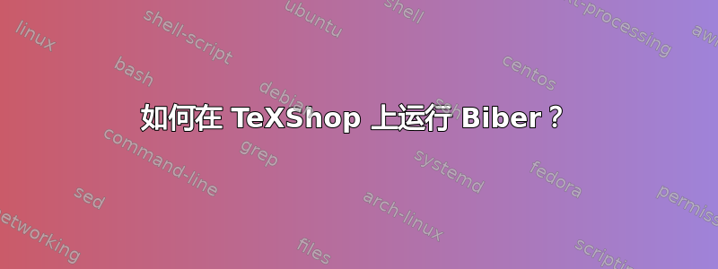 如何在 TeXShop 上运行 Biber？