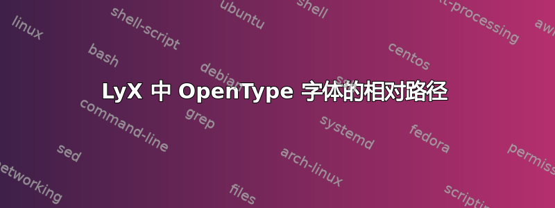 LyX 中 OpenType 字体的相对路径