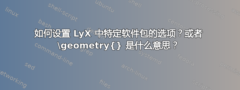 如何设置 LyX 中特定软件包的选项？或者 \geometry{} 是什么意思？