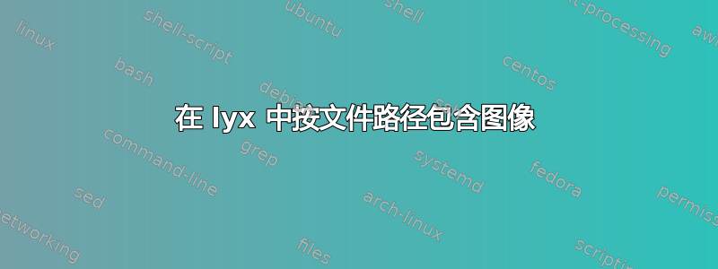 在 lyx 中按文件路径包含图像