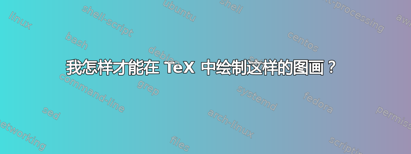 我怎样才能在 TeX 中绘制这样的图画？