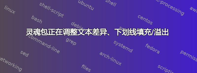 灵魂包正在调整文本差异、下划线填充/溢出