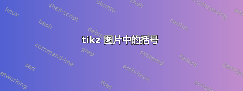 tikz 图片中的括号