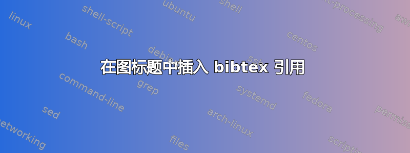 在图标题中插入 bibtex 引用