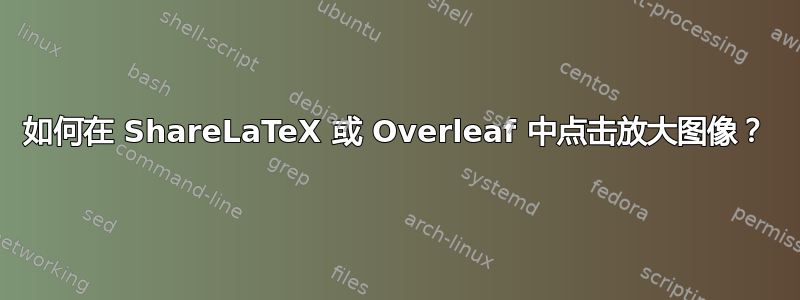 如何在 ShareLaTeX 或 Overleaf 中点击放大图像？