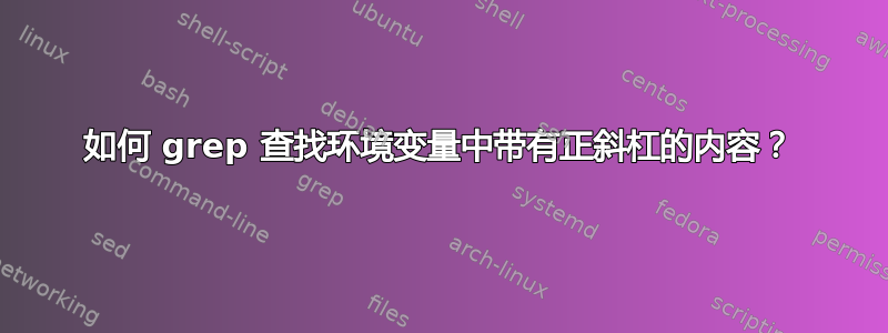 如何 grep 查找环境变量中带有正斜杠的内容？