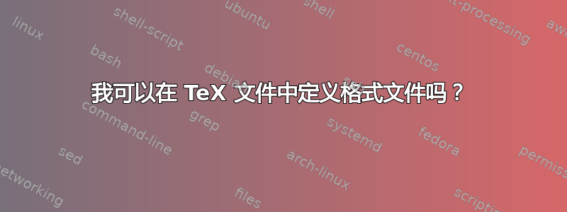 我可以在 TeX 文件中定义格式文件吗？