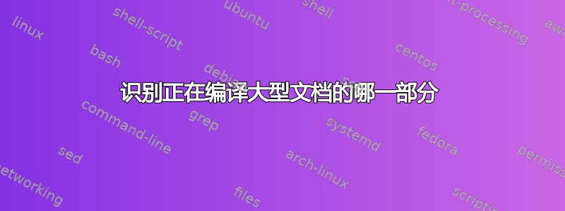 识别正在编译大型文档的哪一部分