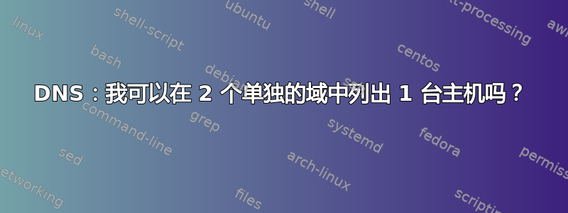 DNS：我可以在 2 个单独的域中列出 1 台主机吗？