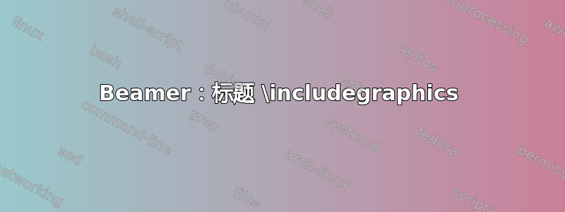 Beamer：标题 \includegraphics