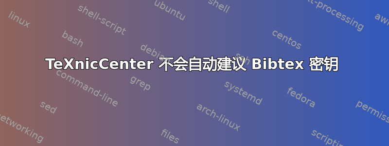 TeXnicCenter 不会自动建议 Bibtex 密钥