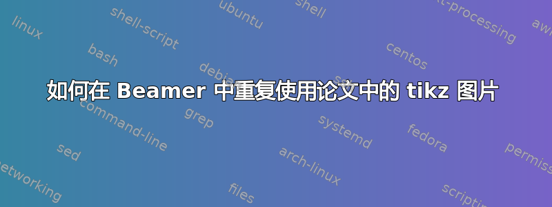 如何在 Beamer 中重复使用论文中的 tikz 图片