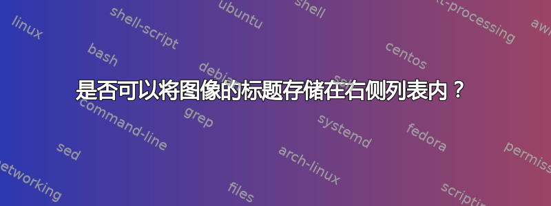 是否可以将图像的标题存储在右侧列表内？